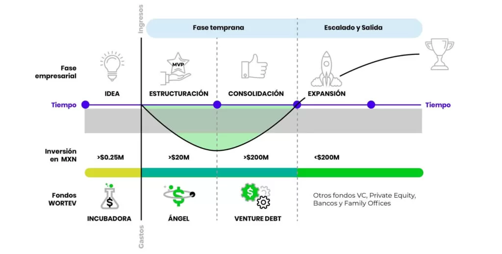 levantar-capital-privado-fases-de-inversion-WORTEV CAPITAL
