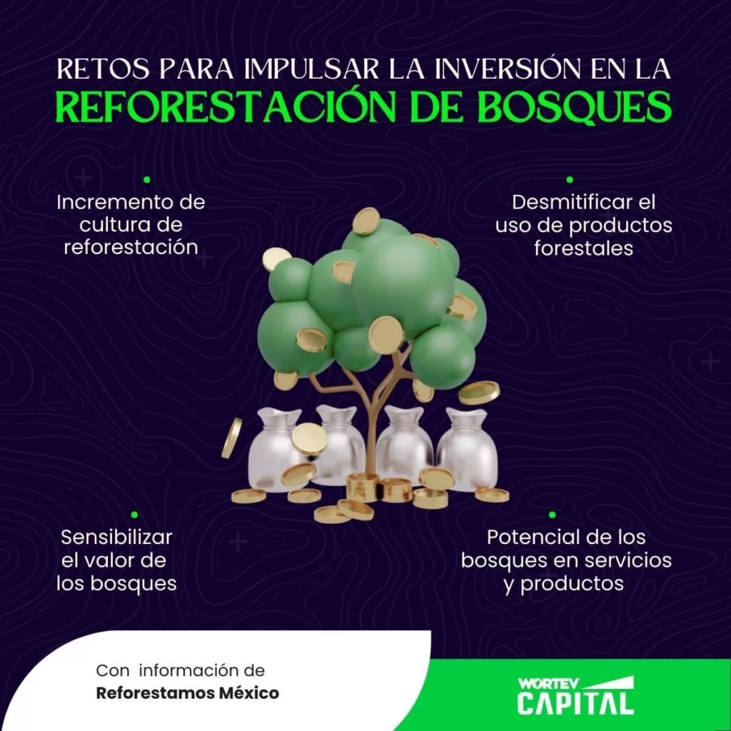 reforestacion-bsoques-retos-de-inversion-sustentable-WORTEV CAPITAL reforestacion-bsoques-retos-de-inversion-sustentable-WORTEV-CAPITAL