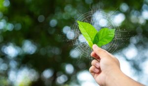 Inversión aliada contra el cambio climático-WORTEV CAPITAL