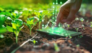 tecnologia_agricultura-capital-riesgo.