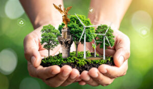 proyectos de impacto social WORTEV CAPITAL