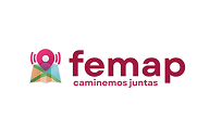 femap
