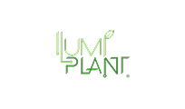 ilumi plant